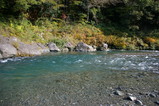 IMGP8208