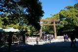 IMGP8495