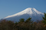 IMGP8823