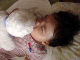 bear2