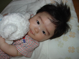 bear1