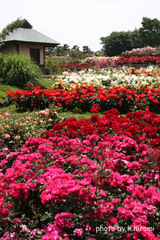 36d0e369.jpg