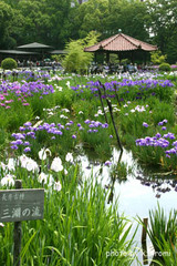 77500ea9.jpg
