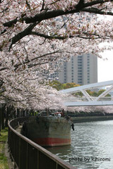 ac0183d0.jpg