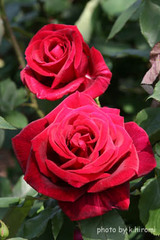 cb871396.jpg