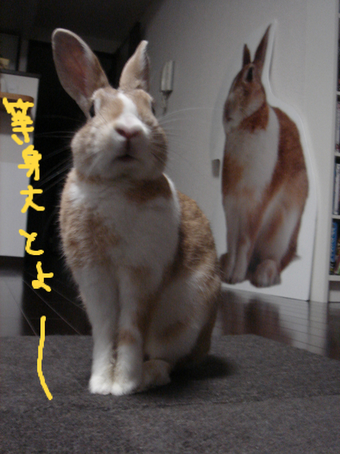 BlogPaint