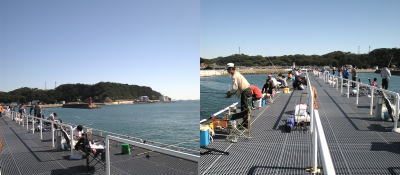 豊浜の釣桟橋