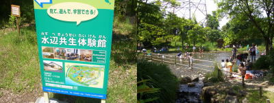 木曽川水園の水遊びできる場所