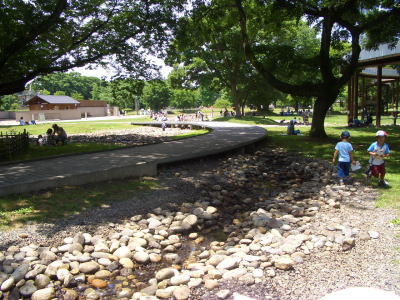 国営木曽三川公園 138タワーパーク内の水辺