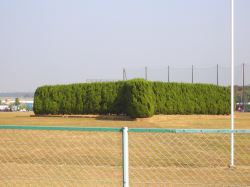 野球場