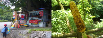 岩屋堂公園の出店で購入した焼トウモロコシ