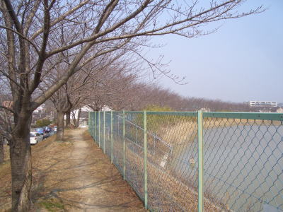 尾張旭市の平池周辺