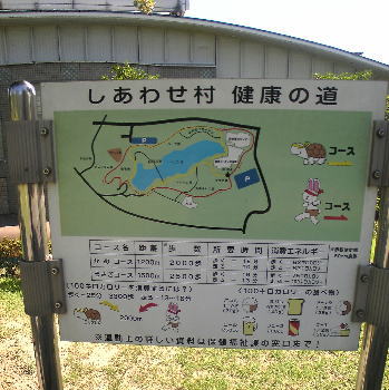 �쳤�Ԥ����碌¼�λ������˥󥰥�����