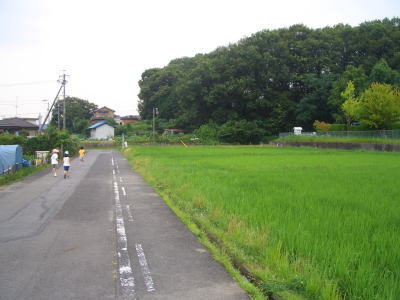 尾張旭市にある田んぼ