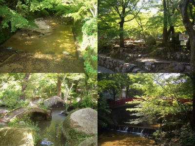 岩屋堂公園の景色