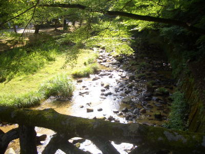 岩屋堂公園に流れる川と景色