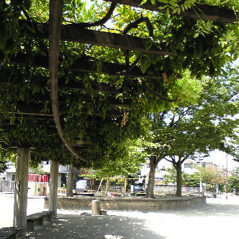 上野公園風景1