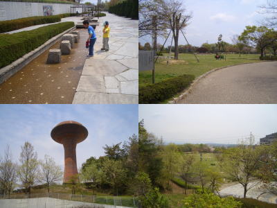 桃花台中央公園の風景