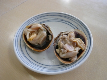 �礢����