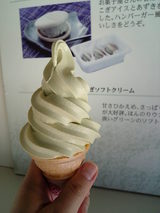 うこぎ