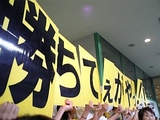 a9aea3c9.JPG