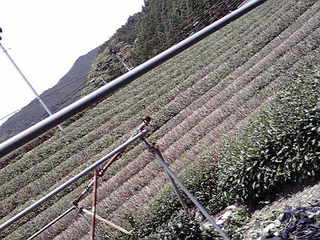 e6995244.jpg
