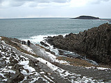 toujibo