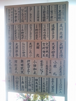 �������ꥸ�硼