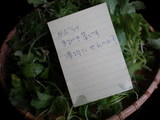 �ޤӤ���
