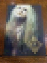 DVC00097-2