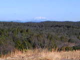 29a7a0cd.jpg