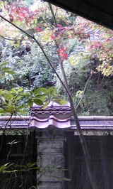 37c7997e.jpg