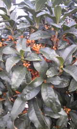 d675d176.jpg