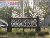 今日は伊勢へ出張でした