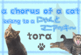 Chorus-1tora-s.gif