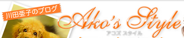 ���İ��ҤΥ֥��� Ako's Style