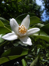 772d7d64.JPG