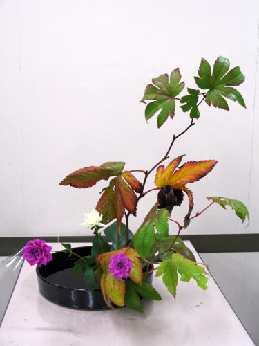 sougetu1120_ms