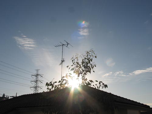 sky1120b_ms