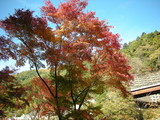 DSCN1488
