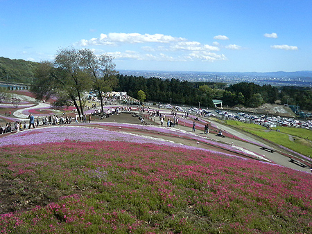 P1000022