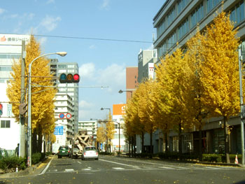 麦0