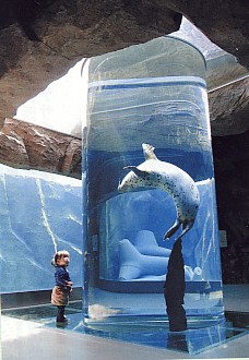 zoo1