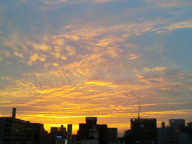 sunset