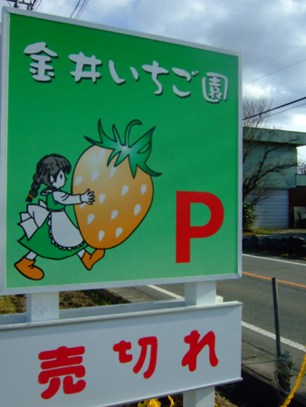 ��楤�����ࣱ