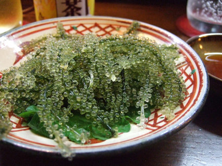 ゆうなんぎ14