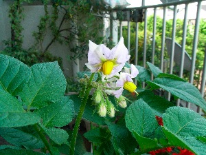 RIMG0077