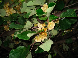 c93d6b4e.jpg