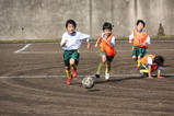 20091101��һ�̱��� 012