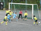 Shonan-Yomiuri05